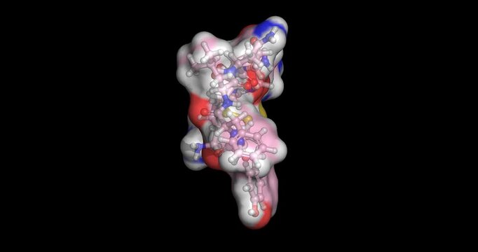 Vasopressin, endogenous neurohormone, 3D molecule 4K spinning