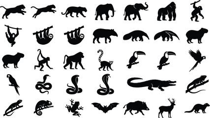 Fototapeta premium Set of black silhouettes of jungle and wild animals on a white background, animal world