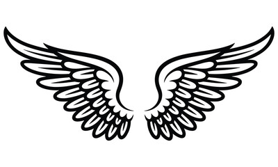 Fototapeta premium Detailed black and white illustration of majestic feathered wings spread wide in a symmetrical design isolated on white background surface