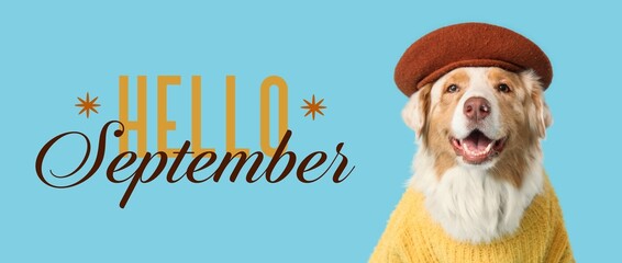 Happy dog in autumn outfit with hello September text © Pixel-Shot