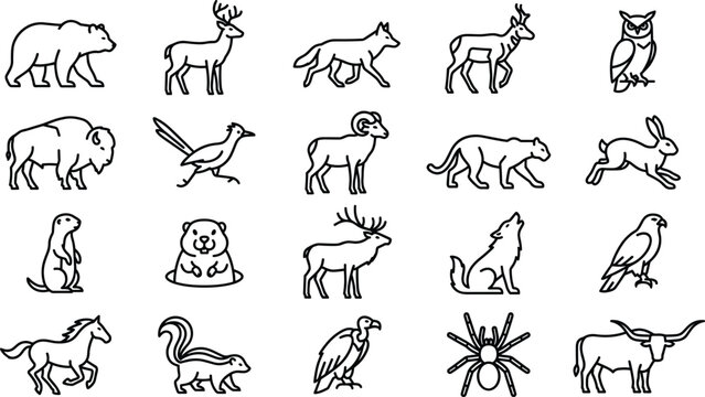 Wild animals minimal outline icons set linear vector illustration including bear deer wolf fox and desert wildlife