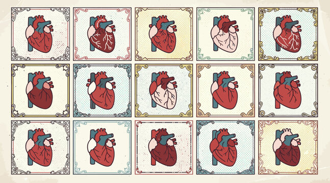 Anatomical heart illustrations