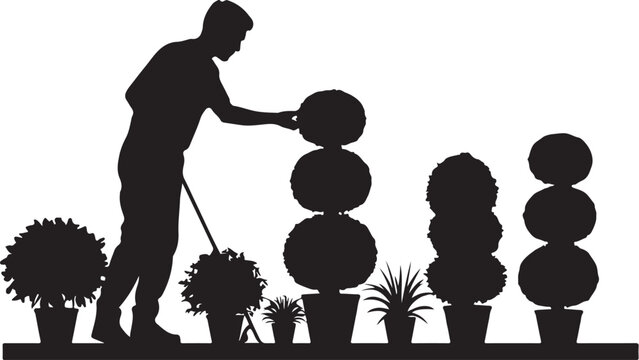 Silhouette of a gardener tending to topiary plants in pots