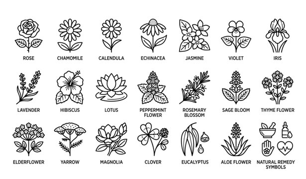 Medicinal Botanical Monoline Icon Pack
