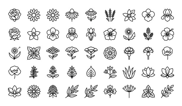 Medicinal Flower Line Icon Set