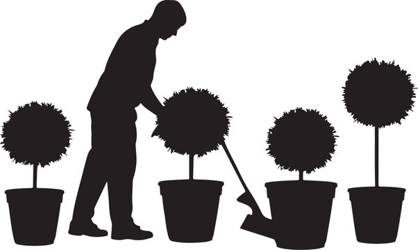 Silhouette of a man gardening, pruning plants in pots
