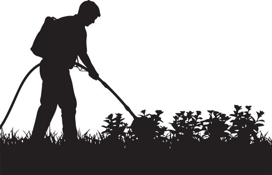 Silhouette of a man spraying plants with a backpack sprayer