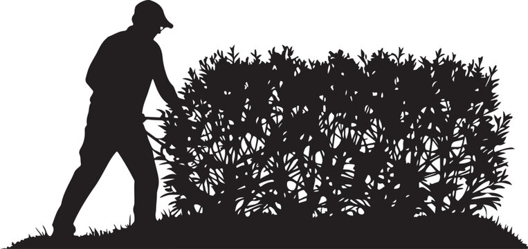 Silhouette of a man trimming a hedge with clippers gardening
