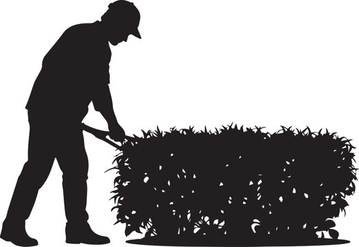 Silhouette of a man trimming a hedge with clippers gardening