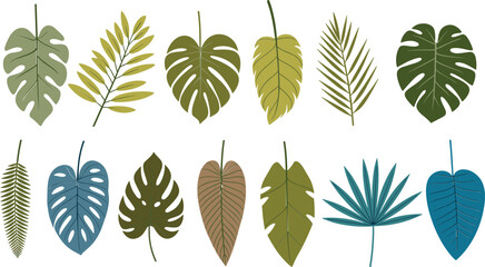 Tropical leaf collection, colorful botanical foliage vector illustration set featuring exotic plant elements for decorative natural designs © Majnur