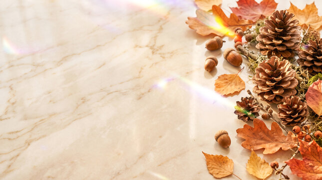 Elegant Autumn Flat Lay with Pine Cones, Acorns and Fall Leaves on Marble Background