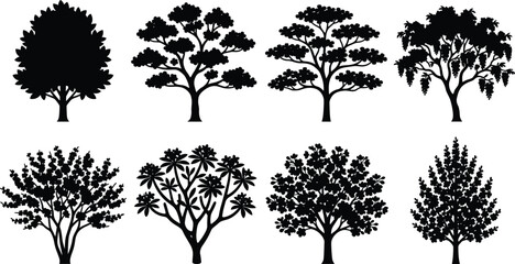 Collection of black vector tree silhouettes with diverse canopy shapes and branching patterns for landscape design and illustration © It's Bishaaaaaal