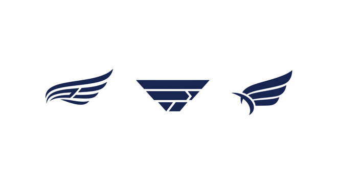 Abstract blue wing and shield logo design elements.