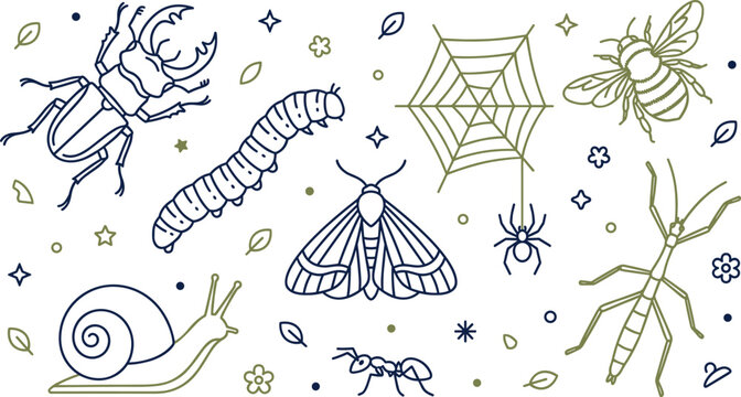 Garden Insect Line Art Illustration Set with Beetle, Caterpillar, Butterfly Moth, Bee, Spider Web, Stick Insect, Snail, and Nature Elements