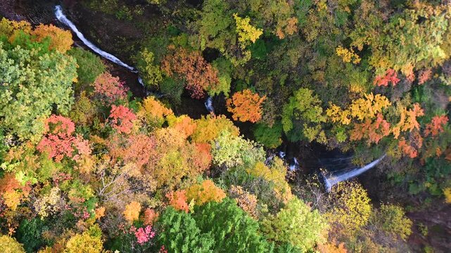 紅葉の谷間を流れる滝　日本　福島