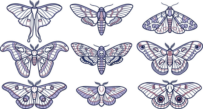 Moth Line Art Icon Set with Luna Moth, Atlas Moth, Hawk Moth, Silk Moth, Nocturnal Insect Illustrations, and Editable Vector Collection