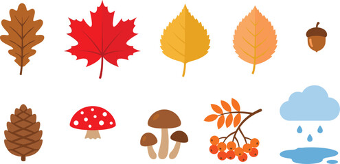 Autumn nature flat icon bundle with colorful fall leaves maple oak mushrooms rowan berry weather vector. © MST HASMOTARA