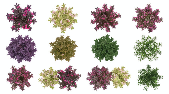 Top view garden plants and shrubs collection, architectural landscape design elements, colorful bushes for site planning and 2D masterplan rendering