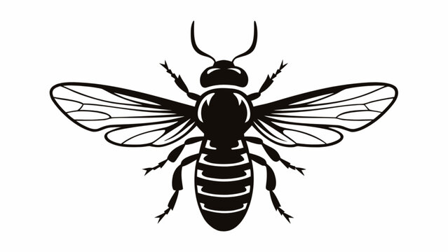 bark beetle, beetle, beetle silhouette, insect, insect icon, beetle vector, bark beetle vector, bug, forest insect, wood borer, pest, pest control, entomology, wildlife, nature, ecology, biological, i