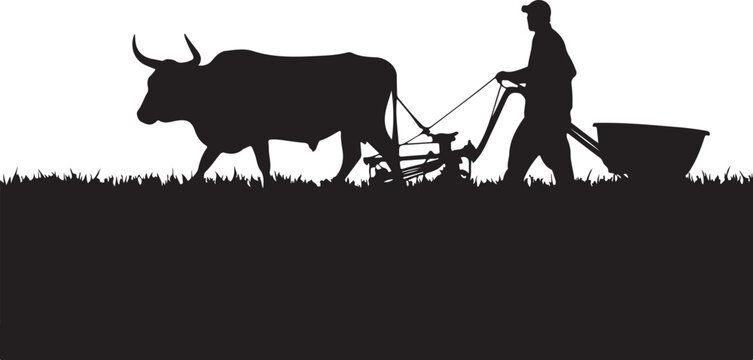 Silhouette of a man plowing a field with a bull, wheelbarrow