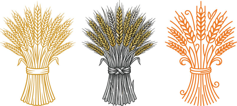Wheat Sheaf Bundle Set in Golden Black and Orange for Harvest Farming Bakery and Autumn Agriculture Design Elements
