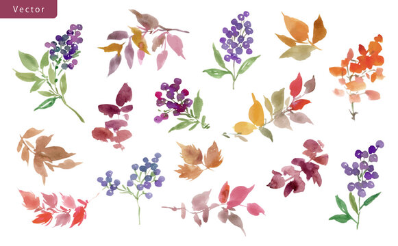 Hand painted Watercolor Autumn leaves and berries clipart set for banner, invitation and background.