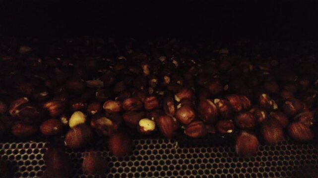 Pov shot of roasted peanuts pouring from an industrial machine. The automated process of food manufacturing in a modern snack factory