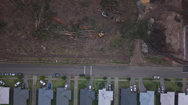 Overhead top down view of housing estate beside active land clearing and earthworks, broken trees contrast against suburban homes, drone