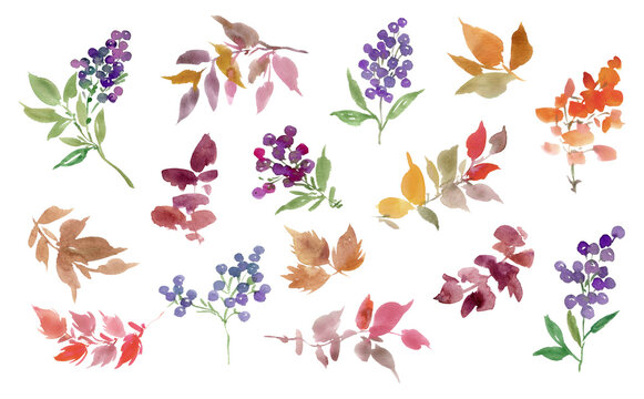 Hand painted Watercolor Autumn leaves and berries PNG clipart set for banner, invitation and background.
