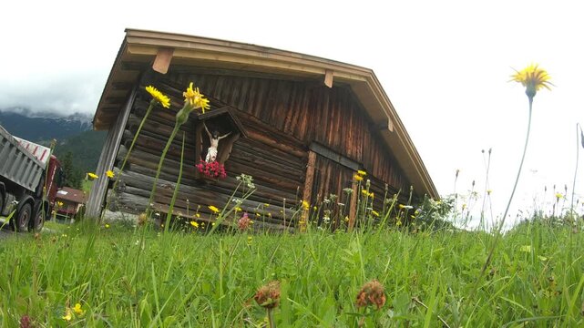 Old log barn with crucifix shrine, wildflowers, misty Alps, Tyrol, Austria.