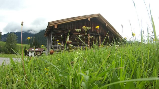 Old wooden barn with crucifix, alpine meadow, wildflowers, cloudy mountains, Tyrol.