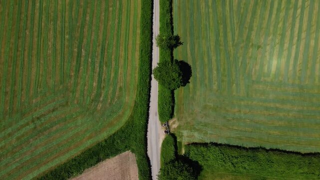 Neatly striped East Devon grass fields border a narrow hedge lined country lane as the camera glides overhead in bright daylight.