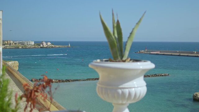 Mediterranean harbor of Otranto in Apulia, Italy, appears beyond an agave plant overlooking turquoise Adriatic waters, breakwaters and coastal architecture, static elevated shot.