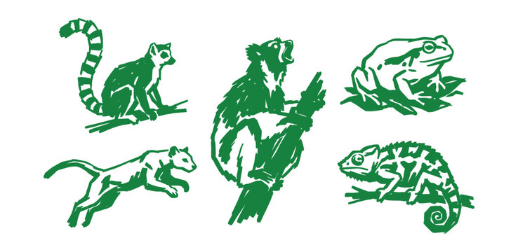 Madagascar wildlife animal sketches featuring green lemur frog and chameleon silhouettes