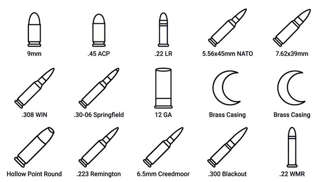 Diagram of various ammunition calibers and bullet types.