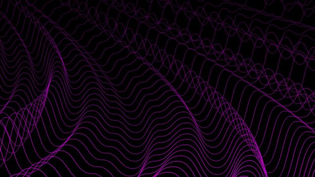 Digital wave lines looping on black background. Shining illuminated lines gently luxury waving. Gradient wavy line with wave grid lines motion. Many bright lines are dancing across the dark screen.