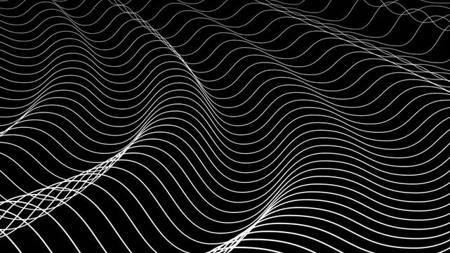 Digital wave lines looping on black background. Shining illuminated lines gently luxury waving. Gradient wavy line with wave grid lines motion. Many bright lines are dancing across the dark screen.