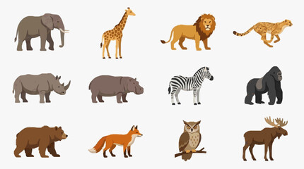 Obraz premium Clean Illustrated Set of 12 Colorful African Wildlife Animals Icons with high quality professional line art symbols for modern creative design and digital branding projects