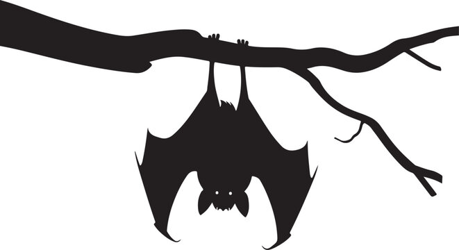 Hanging Bat Silhouette 