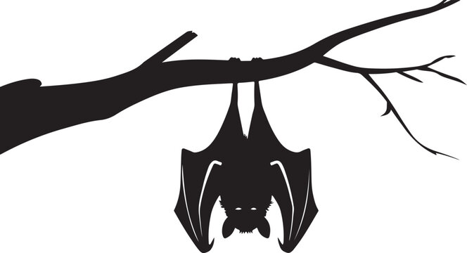 Hanging Bat Silhouette 