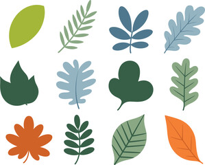 Naklejka premium Collection of various autumn and spring leaves isolated on transparent backdrop.