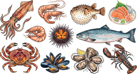 Detailed watercolor seafood set including squid shrimp crab urchin pufferfish salmon sashimi mussels oysters and lobster isolated on white background vector illustration © MdArif