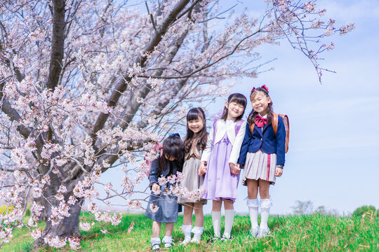 ランドセルを背負って楽しく登校する小学生の女の子たち
