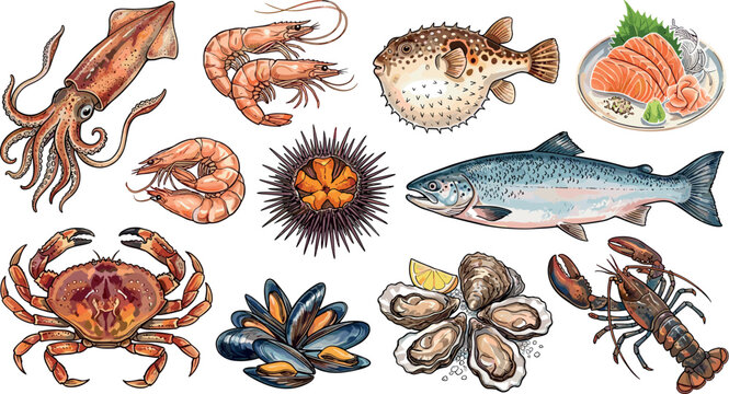 Detailed watercolor seafood set including squid shrimp crab urchin pufferfish salmon sashimi mussels oysters and lobster isolated on white background vector illustration