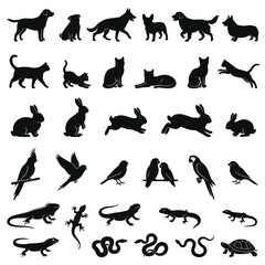 Obraz premium pet silhouettes collection of dogs cats rabbits birds and reptiles