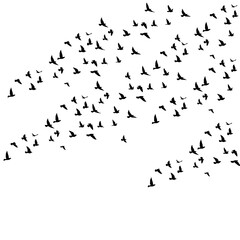 Obraz premium illustration of a flock of migrating birds