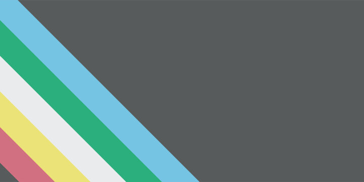 Disability pride flag. Color stripes representing a form of impairment