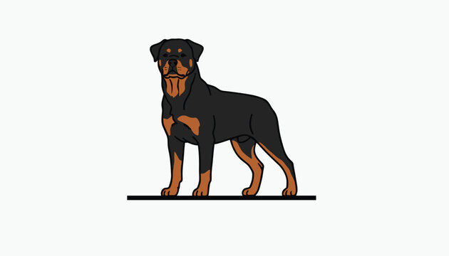 Detailed vector illustration of a strong purebred black and tan rottweiler dog standing against a clean white background.