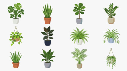 Corporate Collection of 12 Stylish Indoor Plants in Modern Pots for Office or Home Decoration with high quality professional line art symbols for modern creative design and digital branding projects © Deni