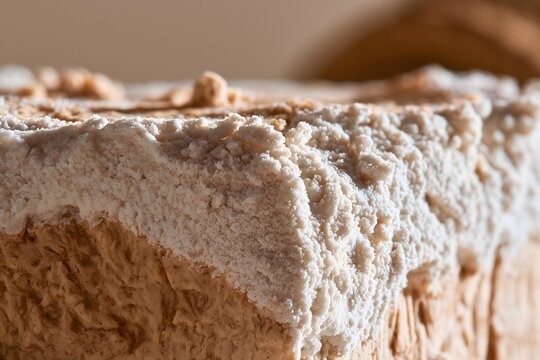 Traditional fermented soybean block texture with organic white mold